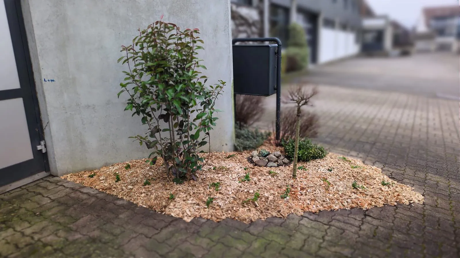 Décoration de jardin