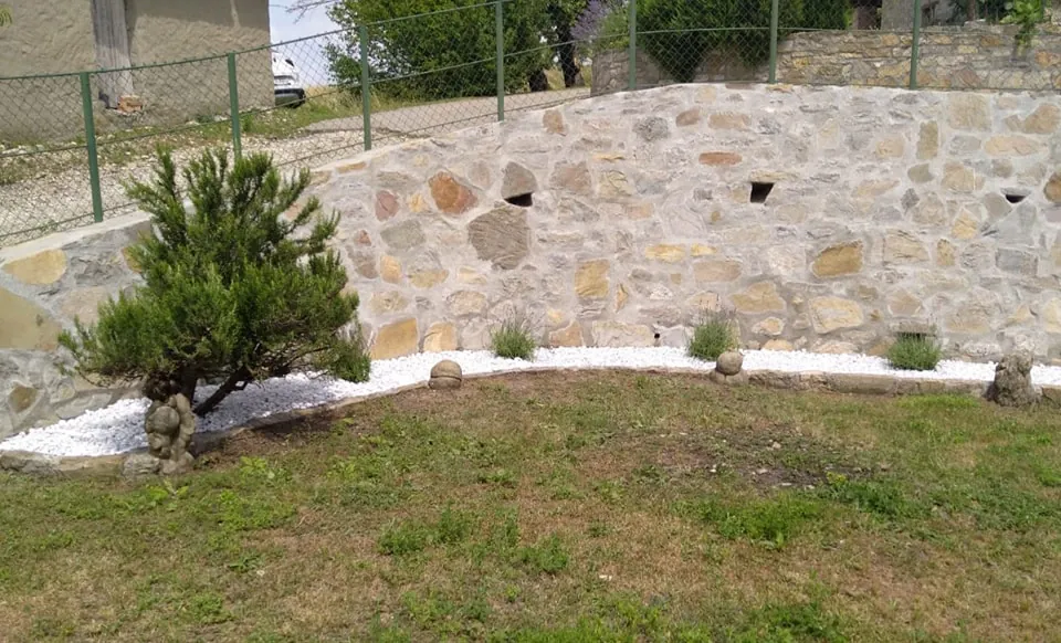 Mur avec lavandes (vue 2)