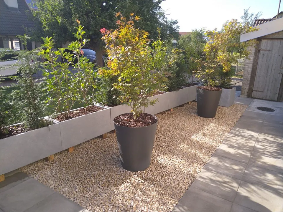 Plantations d'arbustes en bacs